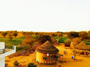 Desert Nights, Mandawa